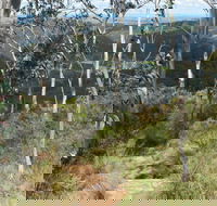 Mount Towac Walk
