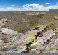 Munghorn Gap Nature Reserve - Sunshine Coast Tourism