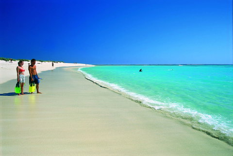 Ningaloo - Holiday Sunshine Coast 0
