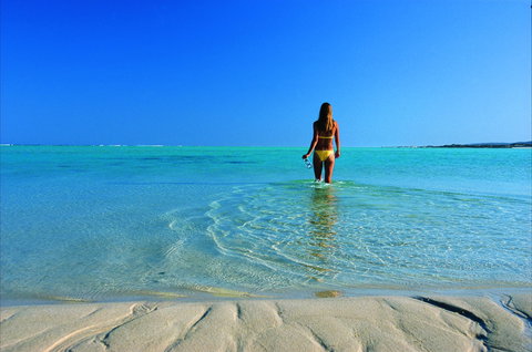 Ningaloo - Holiday Sunshine Coast 1