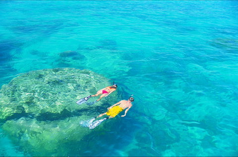 Ningaloo - Holiday Sunshine Coast 2