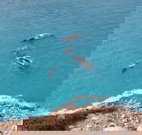Nullarbor National Park - Holiday Sunshine Coast