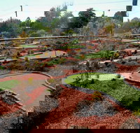 Orange Mini Golf - Sunshine Coast Tourism