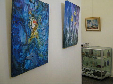 Pandora Gallery - Holiday Sunshine Coast 0