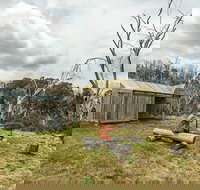 Patons Hut walking track - Sunshine Coast Tourism