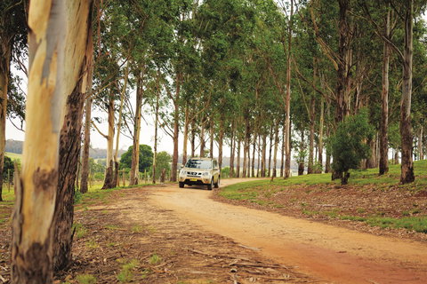 Proston - Sunshine Coast Tourism 1