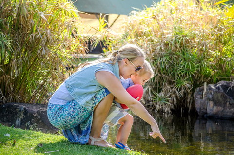 Queens Park Waterfall - Holiday Sunshine Coast 2