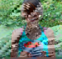 Ricardoes Tomatoes and Strawberries Farm Port Macquarie - Sunshine Coast Tourism