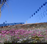 Talgomine Reserve - Holiday Sunshine Coast