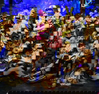 The Pink Flamingo Spiegelclub Gold Coast - Holiday Sunshine Coast