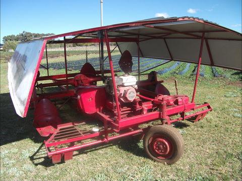 The Super Strawberry - Sunshine Coast Tourism 2