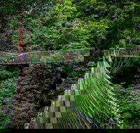 Thunderbird Park  - Tamborine Mountain Gold Coast Region - Holiday Sunshine Coast