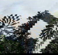 Tinaberries - Sunshine Coast Tourism