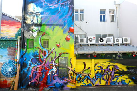 Townsville Street Art - Sunshine Coast Tourism 2