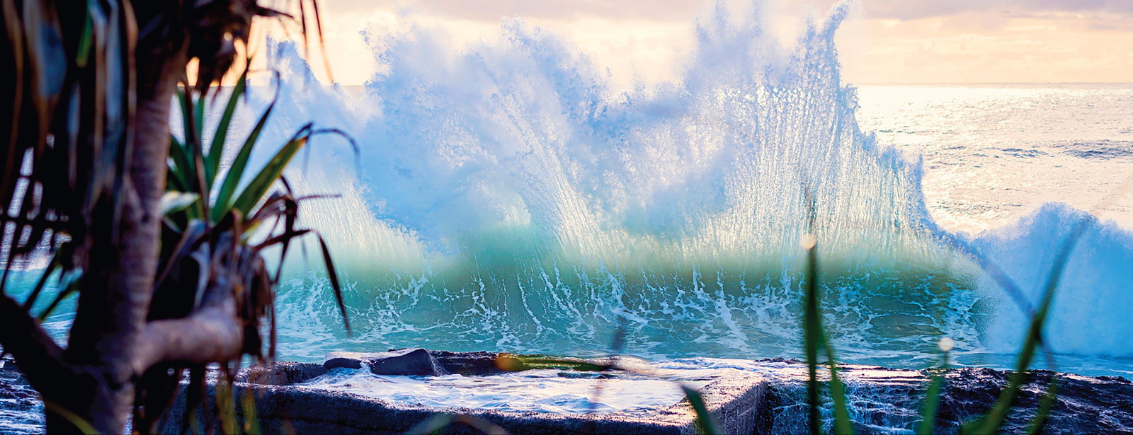 Tugun QLD Sunshine Coast Tourism