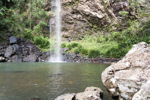 Twin Falls Circuit, Springbrook National Park - Sunshine Coast Tourism 0