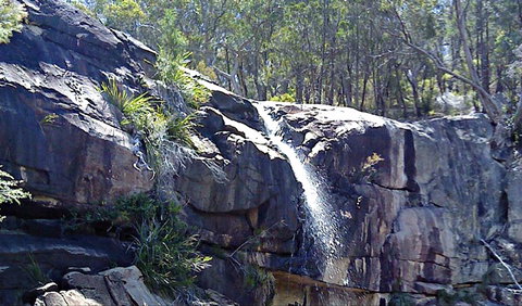 Ugly Corner Falls Walking Track - Sunshine Coast Tourism 0
