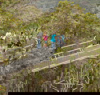 Walpole Wilderness Discovery Centre - Sunshine Coast Tourism