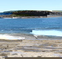Wasp Head Picnic Area - Sunshine Coast Tourism