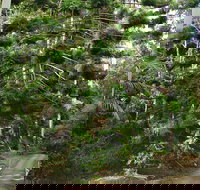 Way Way Creek Road Drive - Sunshine Coast Tourism