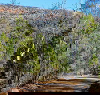 Weddin Gap to Black Spring Loop Trail - Holiday Sunshine Coast