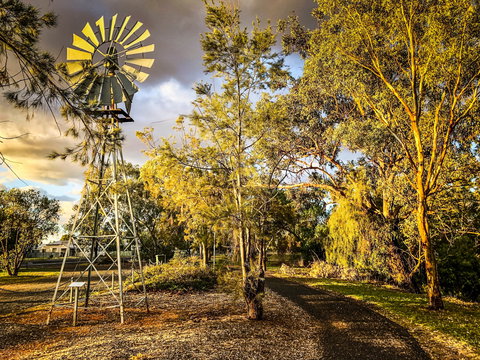 Windmill Walk - Holiday Sunshine Coast 1