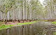 Wonga Wetlands - thumb 0