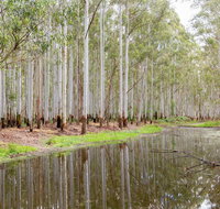 Wonga Wetlands - Sunshine Coast Tourism
