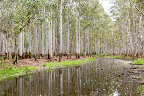 Wonga Wetlands - Sunshine Coast Tourism 0