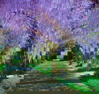 Alowyn Gardens and Nursery - Holiday Sunshine Coast