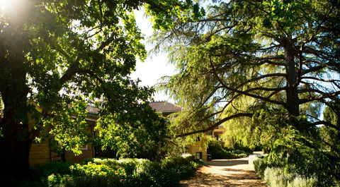 Anlaby - Holiday Sunshine Coast 1