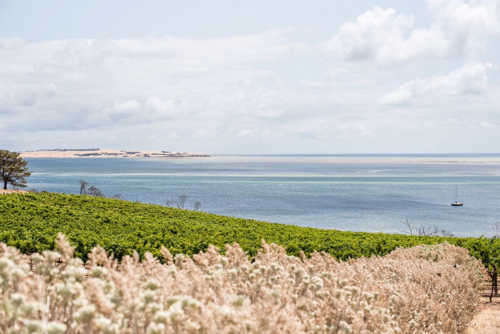 Holiday Sunshine Coast