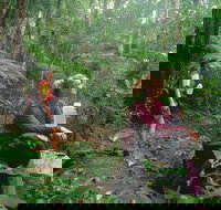 Binna Burra Lamington National Park - Holiday Sunshine Coast