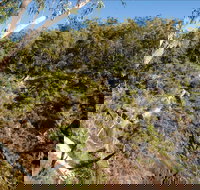 Boonoo Boonoo Falls picnic area - Holiday Sunshine Coast