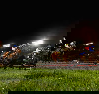 Canterbury Park Racecourse - Sunshine Coast Tourism