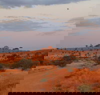 Castle Rock walk and Lookout - Sunshine Coast Tourism