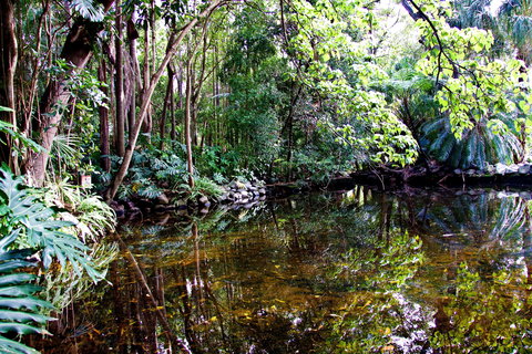 Cascade Gardens - Sunshine Coast Tourism 2