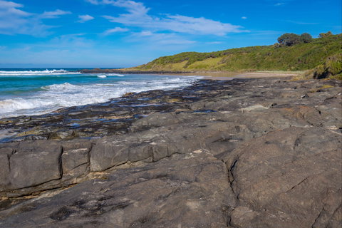Cat And Kitten Beach - Holiday Sunshine Coast 0