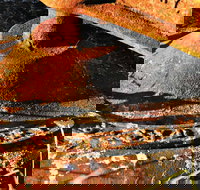 Cattai Homestead and Historic Farm Buildings - Sunshine Coast Tourism