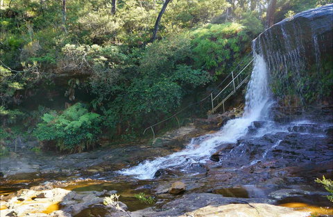 Charles Darwin Walk - Sunshine Coast Tourism 0
