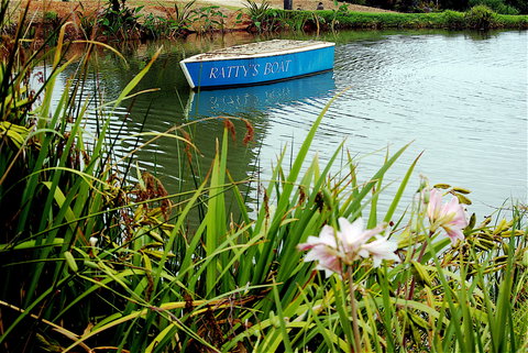 Children's Storybook Trail - Holiday Sunshine Coast 2