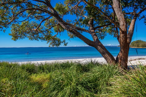 Collingwood Beach - Sunshine Coast Tourism 0