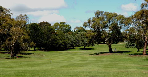 Cooma Golf Club - Sunshine Coast Tourism 0