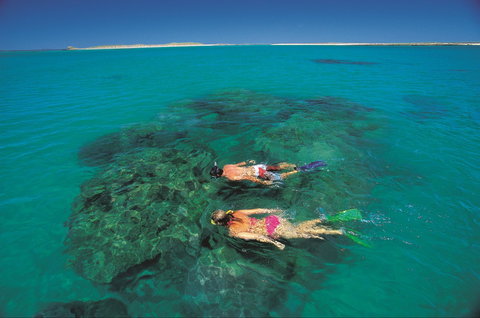 Dampier - Sunshine Coast Tourism 2