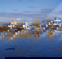 Denham - Sunshine Coast Tourism