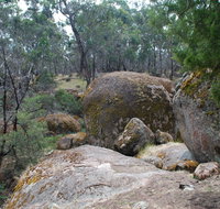 Dergholm State Park - Holiday Sunshine Coast