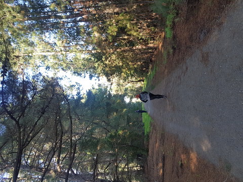 Devilbend Natural Features Reserve - Holiday Sunshine Coast 1