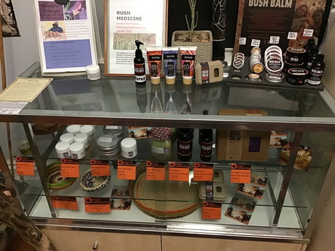 Dingo Dreaming - Holiday Sunshine Coast 2