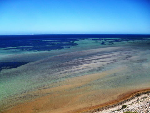 Eagle Bluff - Holiday Sunshine Coast 2