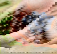 Eat Pick Grow Trail - Wanneroo and Chittering - Sunshine Coast Tourism